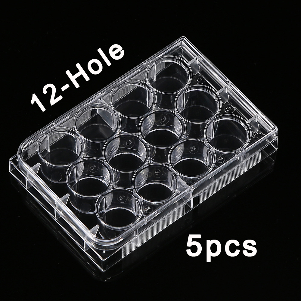 5Pcs Polystyrene 12 Well Petri - Medical Wellness & Spa Werona บทวิจารณ์และราคา