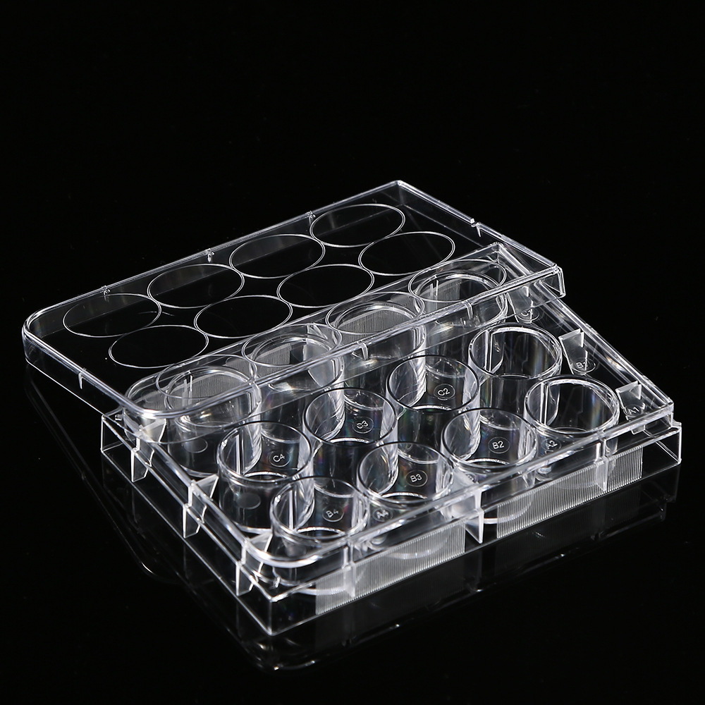 5Pcs Polystyrene 12 Well Petri - Medical Wellness & Spa Werona บทวิจารณ์และราคา