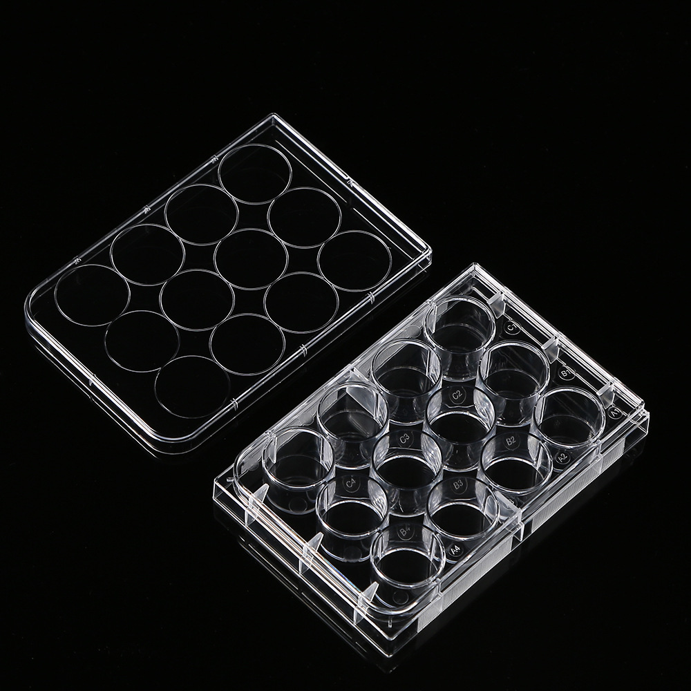 5Pcs Polystyrene 12 Well Petri - Medical Wellness & Spa Werona บทวิจารณ์และราคา